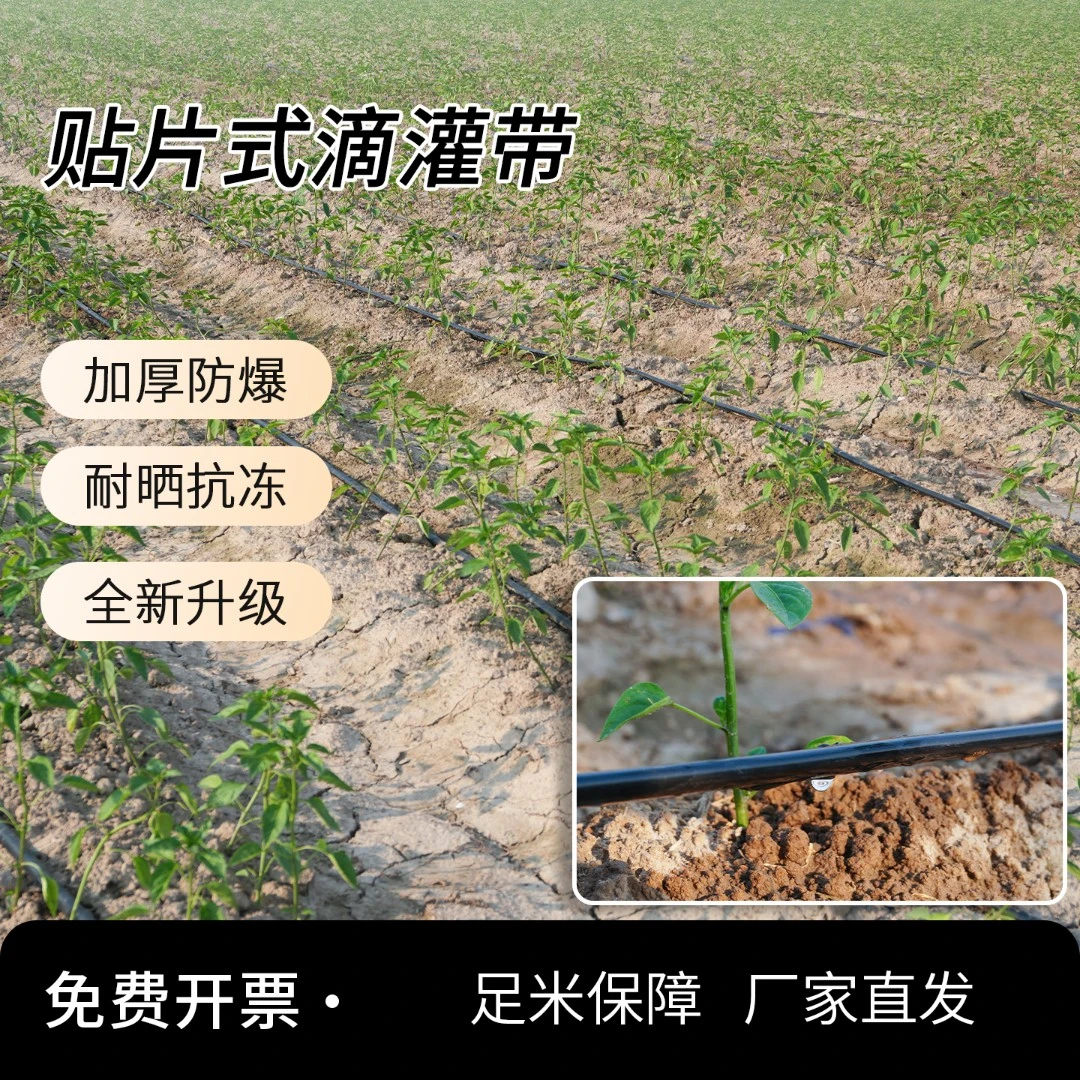 【正品保障】大农节水贴片式滴灌带16mm双孔农用灌溉节水神器【青松】