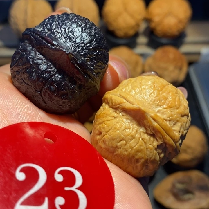 熟****》太极阴阳球尺寸35