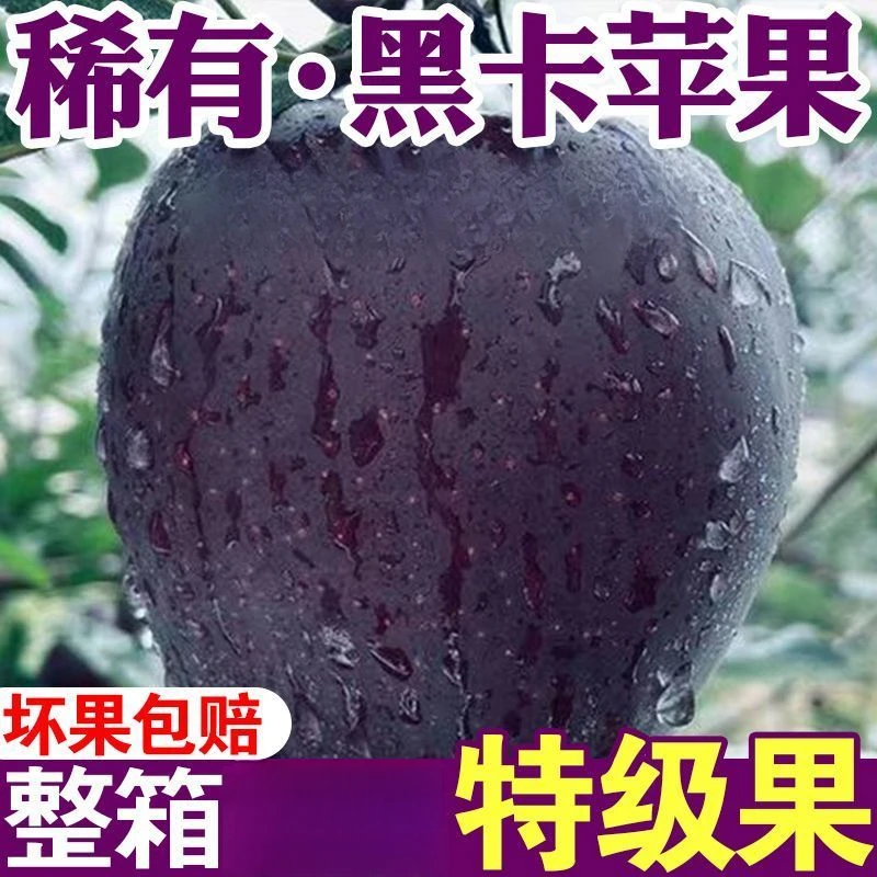【高端品种】正宗稀有黑钻黑卡苹果新鲜水果应季花牛脆甜整箱批发