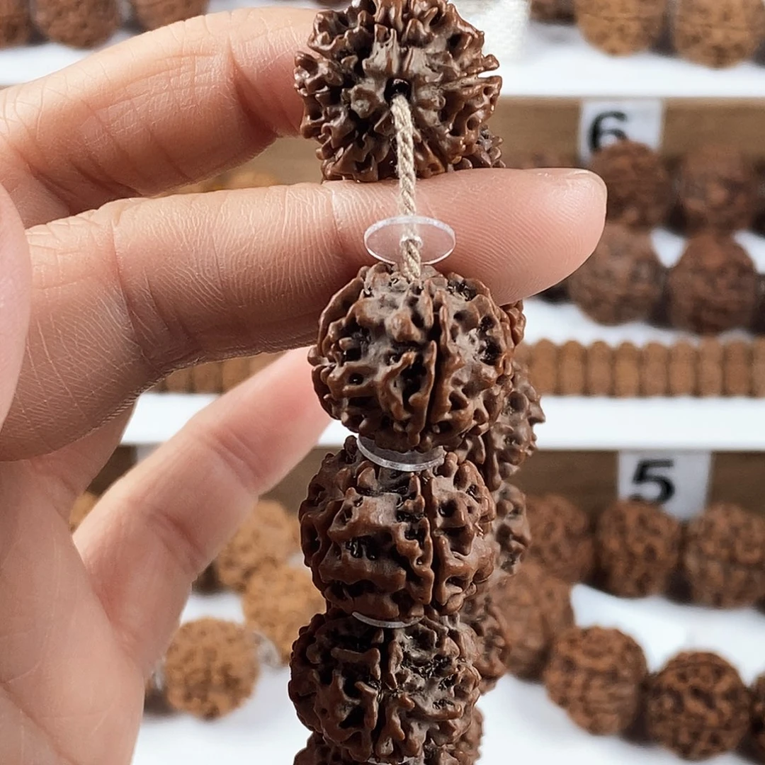 手串金刚菩提原生态红皮铁籽疙瘩肉