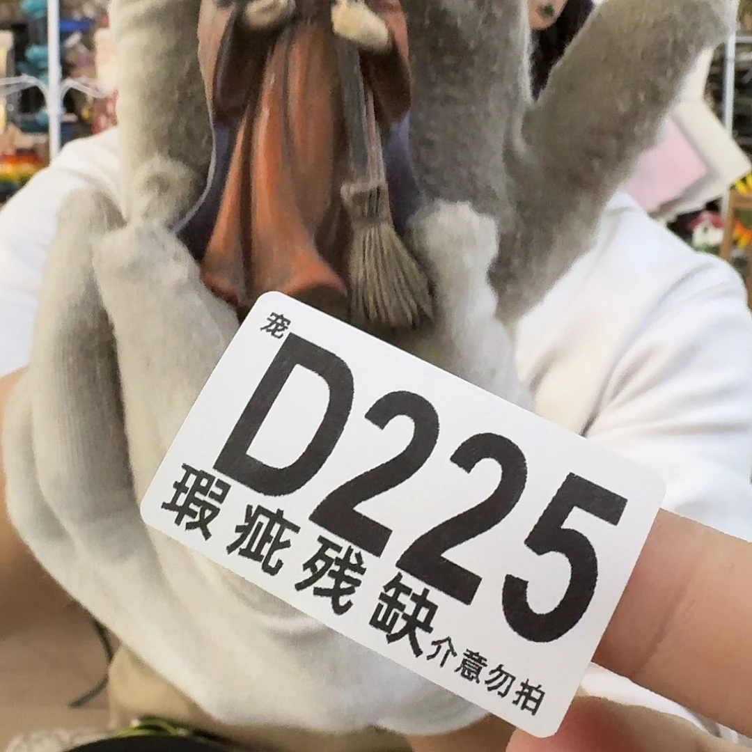 核桃木/黑胡桃（胡桃木）