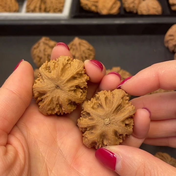 文玩核桃吊坠突突突突突