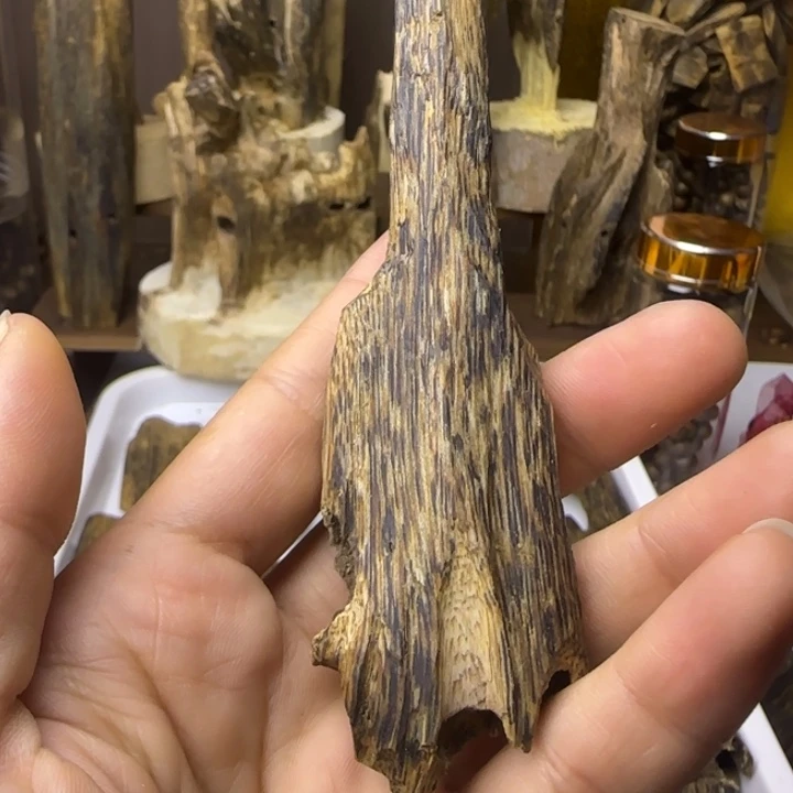 沉香沉香碎屑原材料口虫漏