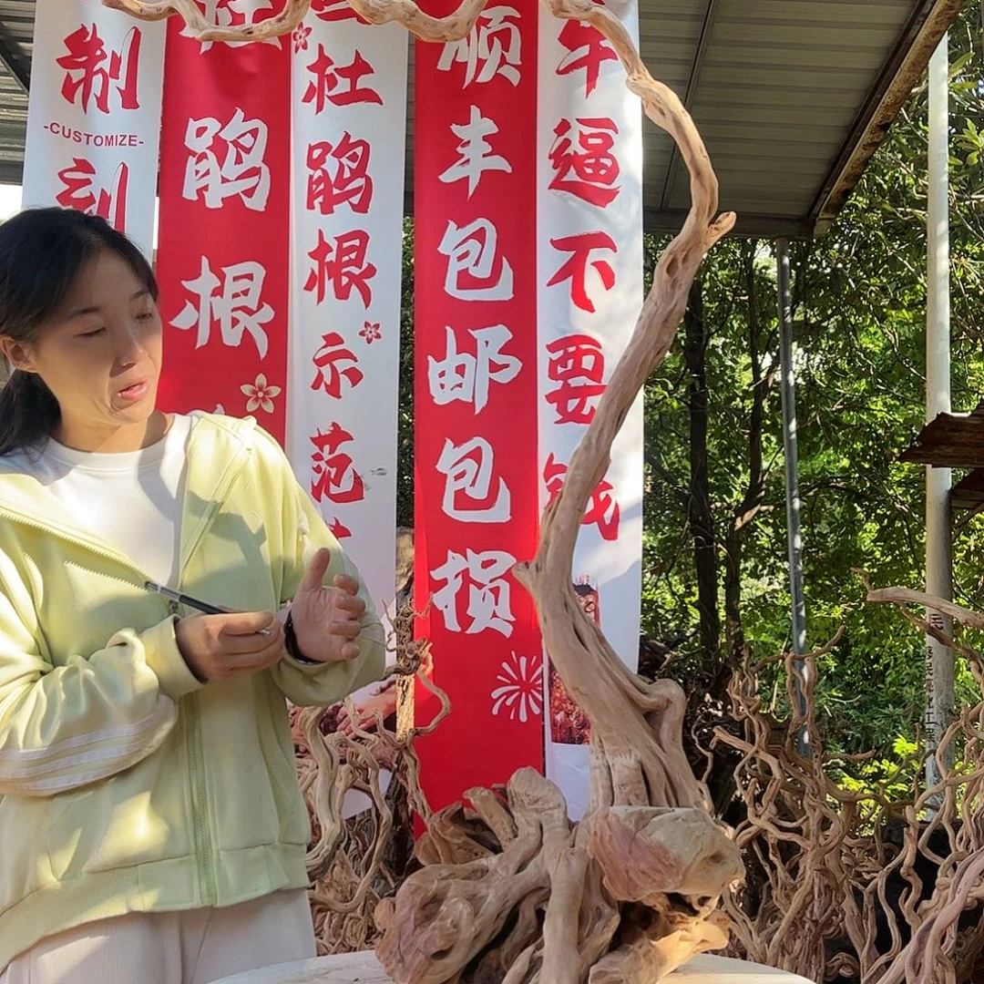 壹***气木328我是一只小小鸟地域鬼的