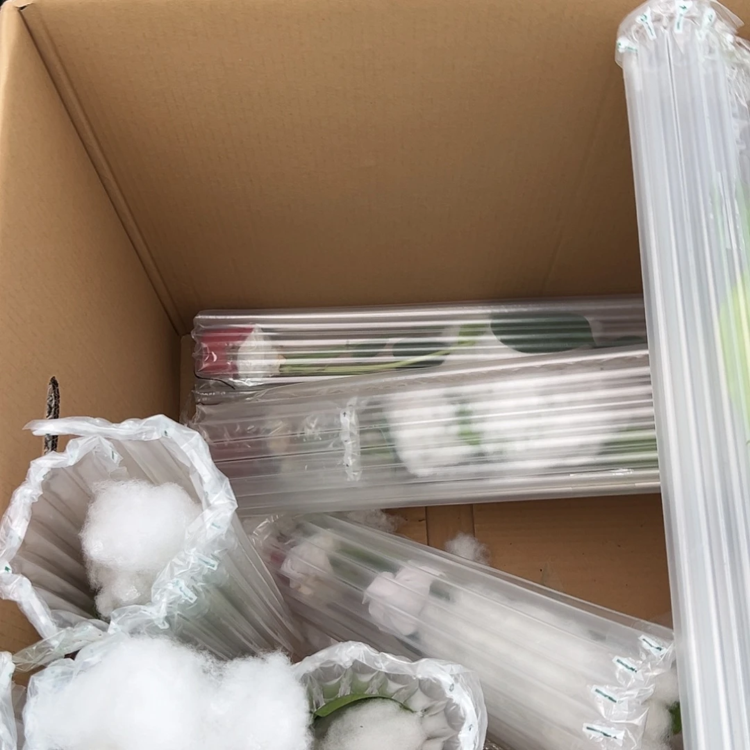 完全开放白怪兽随机发货不售后