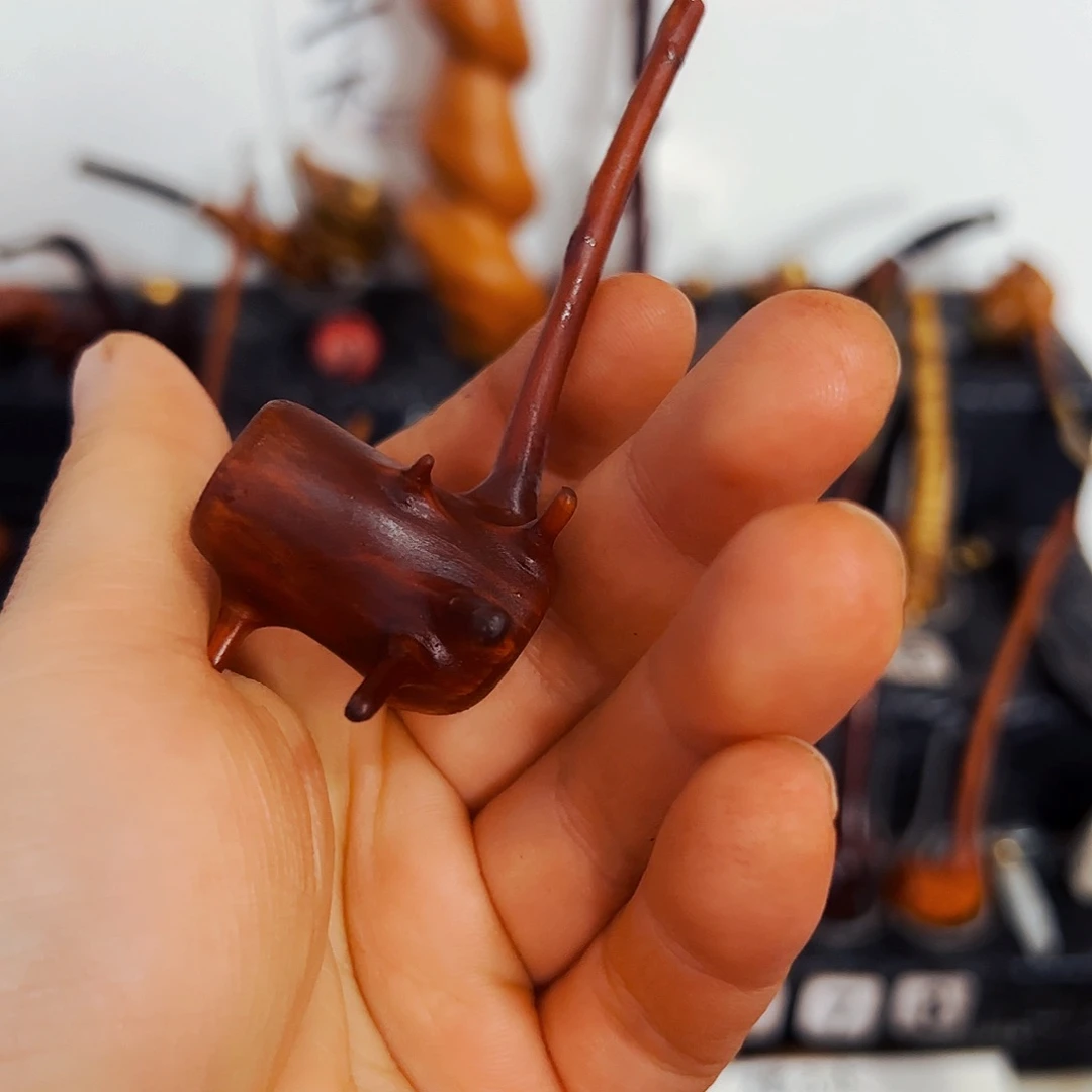 别***子香榧木一起的时间越来越快，是