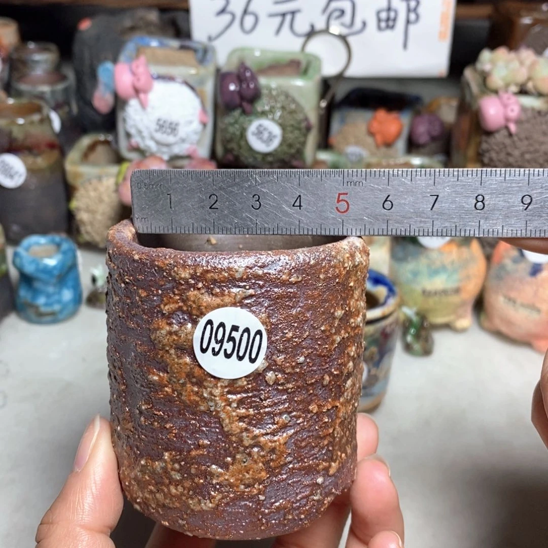 拍3送一个小礼物