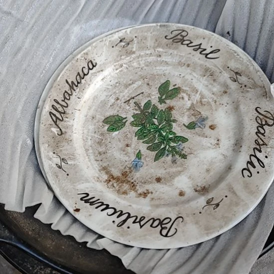 瓷发两个平盘，国营四厂库存