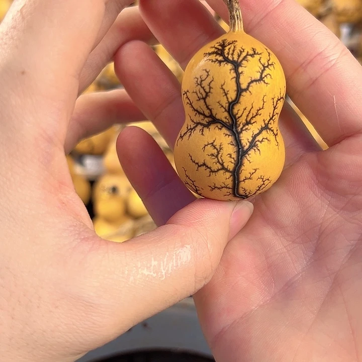 葫芦一物一拍所见即所得，