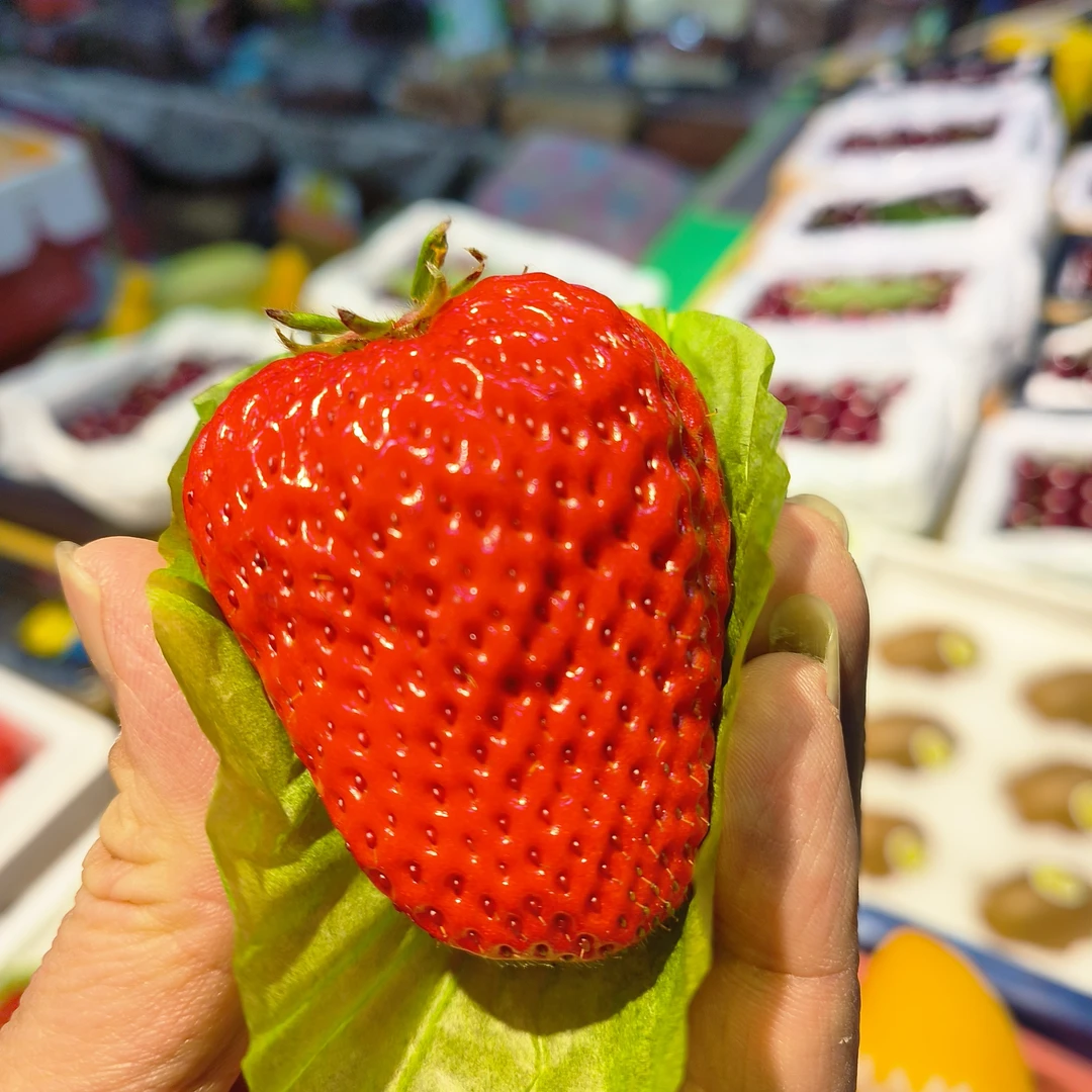 丹东奶霸草莓20-24粒毛重 1.9-2斤左斤左右99红颜