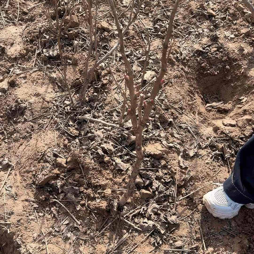 完全开放1111111111111111