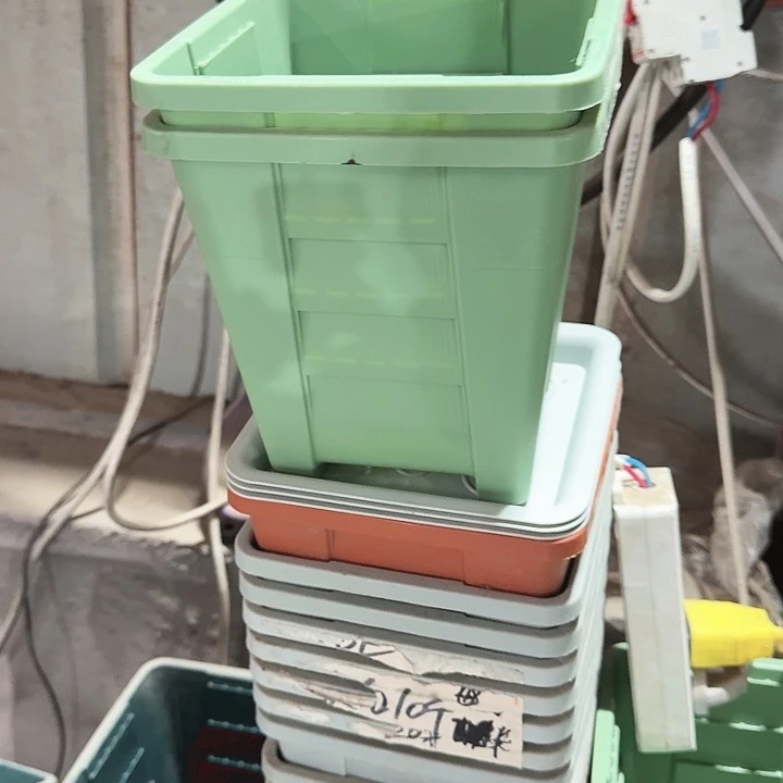 方16口径10个无托浅绿