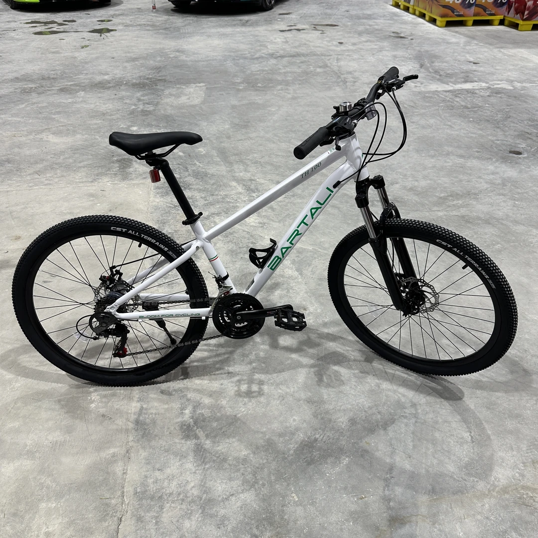 【主播展示同款】单速自行车居家创意设计玩具宠粉福利微瑕