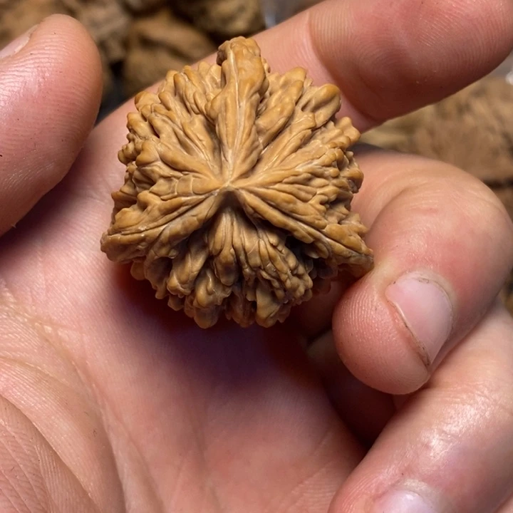 文玩核桃吊坠森***1文玩核桃异形单只