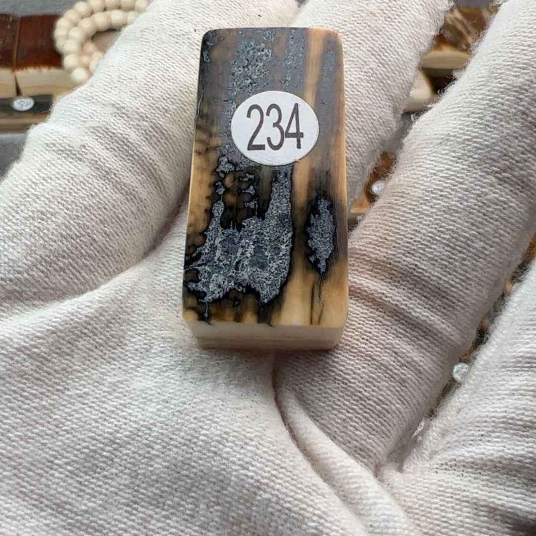 泥塑猛犸真品福利打孔不退