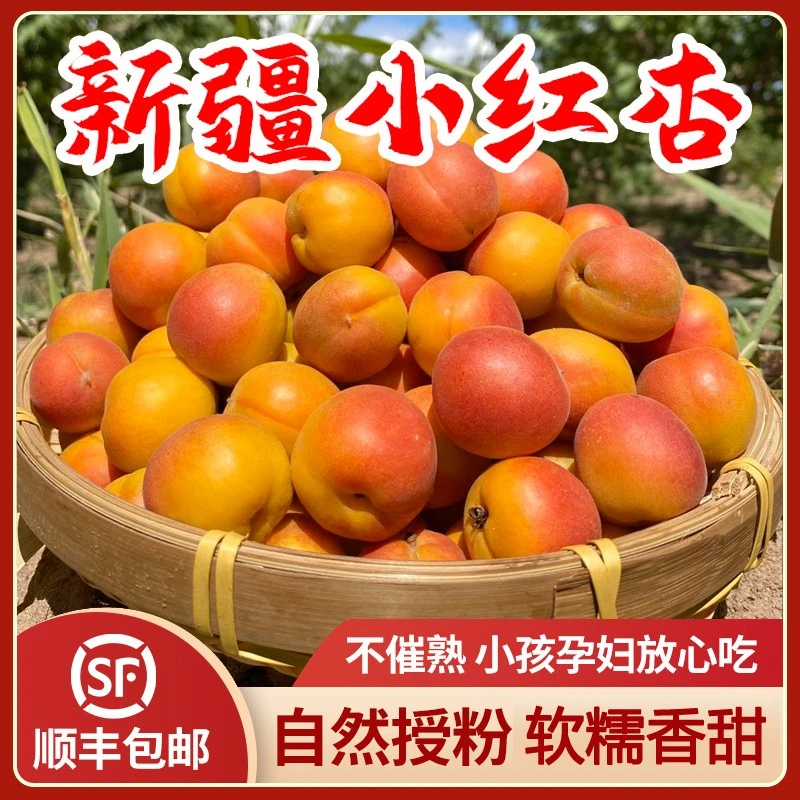 【坏果包赔】新疆自然熟小红杏新鲜杏子杏干应季水果当季现摘现发