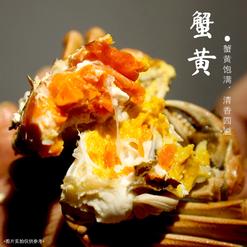 公3.8两 母2.5两【 公母可选】 活蟹6/8/10只 江苏精品大闸蟹