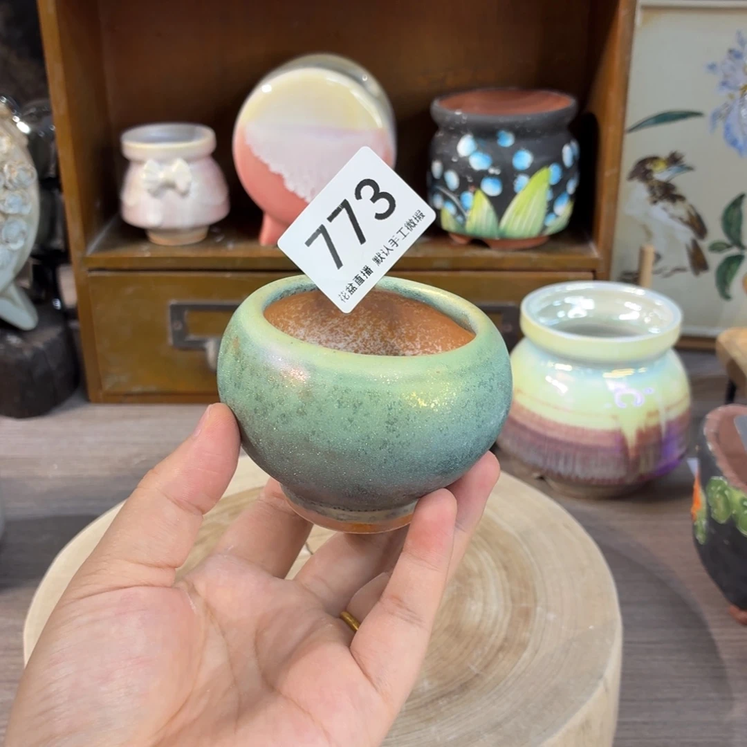 蜡***子花盆花盆花盆花盆炫彩