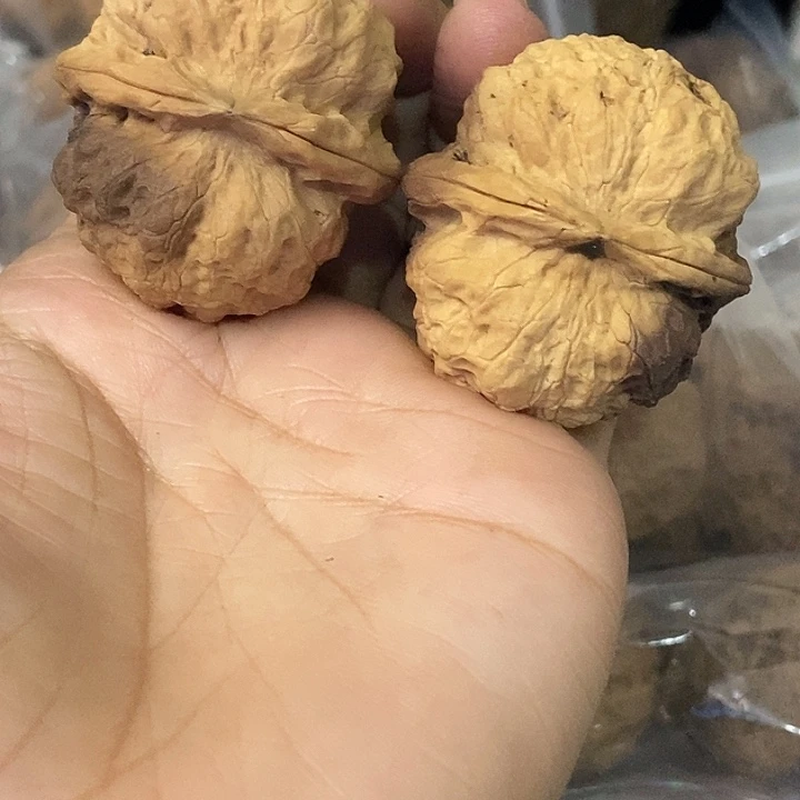 文玩核桃把件云南铁核桃基地84