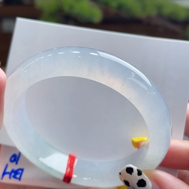 未镶嵌手镯翡翠51.6白冰