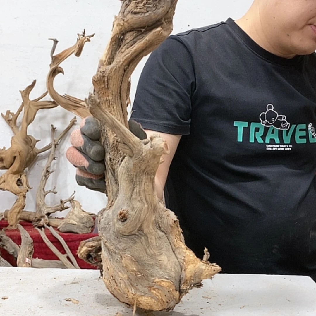 【闪购商品】柏木绿**殖我们都是好孩子