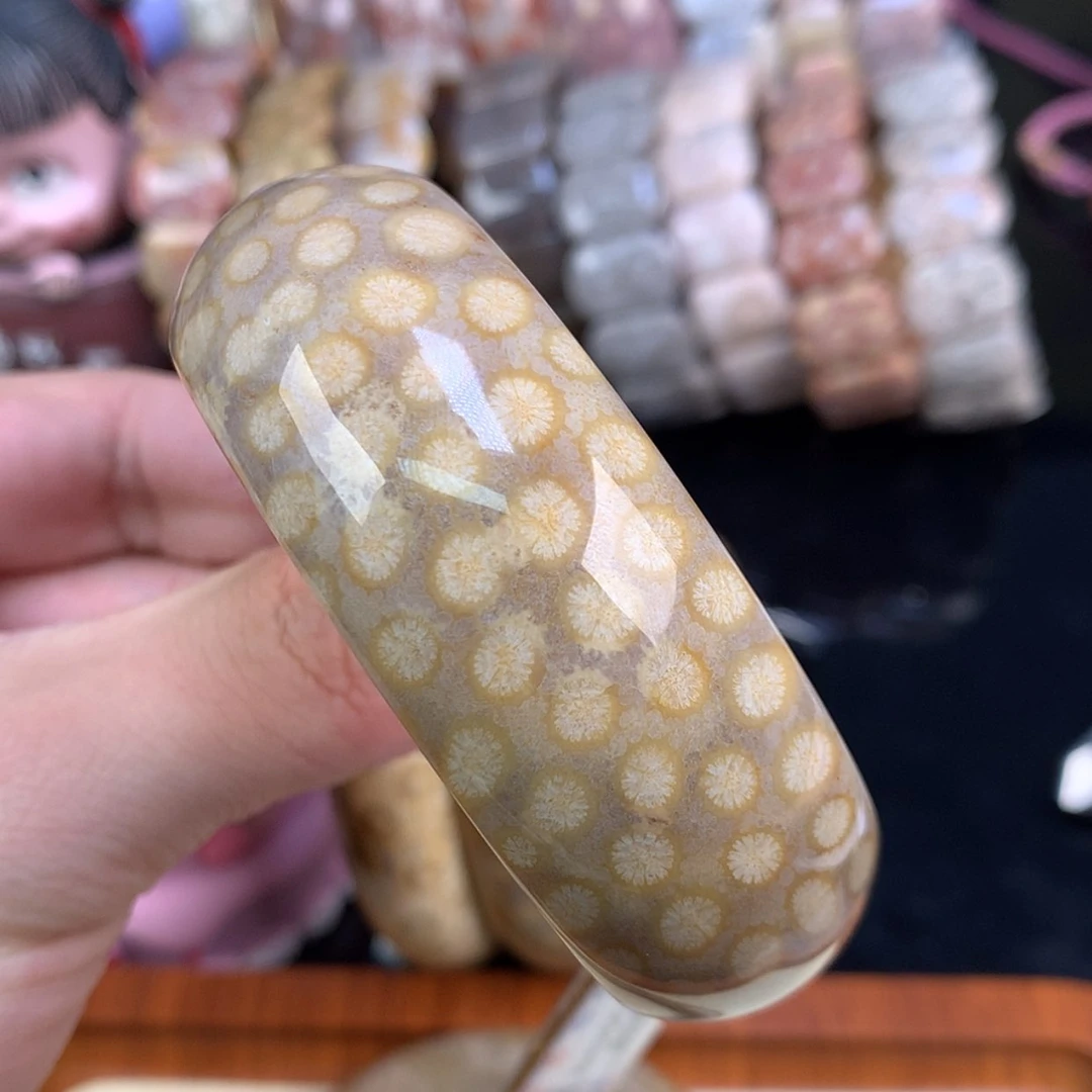 【闪购商品】颈饰未镶嵌硅化珊瑚（珊瑚玉）73号57圈金皮豹纹