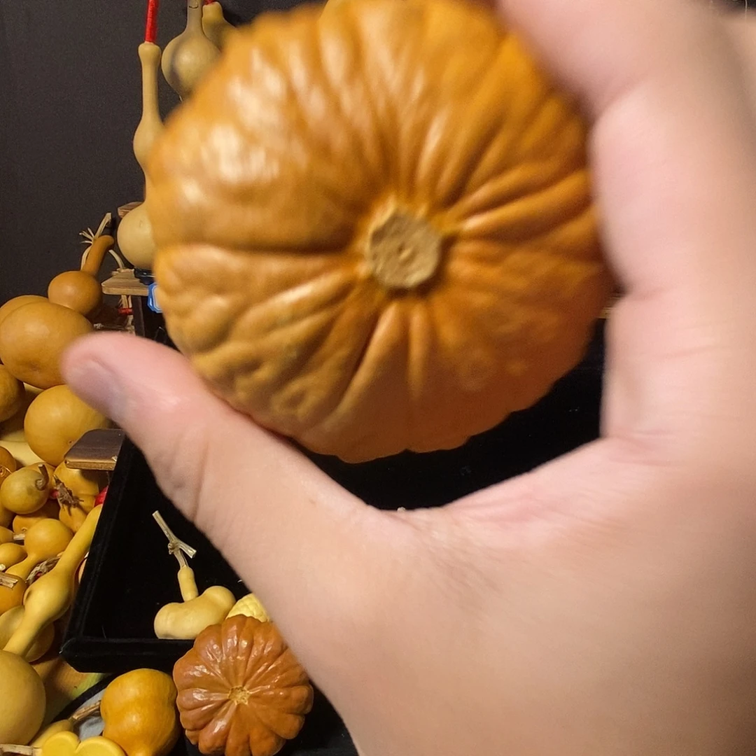 山***海羊羔毛啊啊啊啊啊啊啊