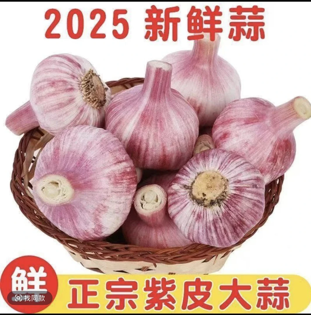 2025新鲜紫皮大蒜新鲜蒜头现挖湿蒜泡蒜腊八蒜红皮蒜