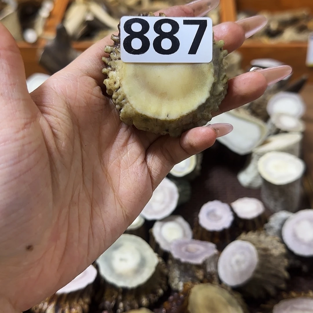 鹿骨手串/手链887角帽