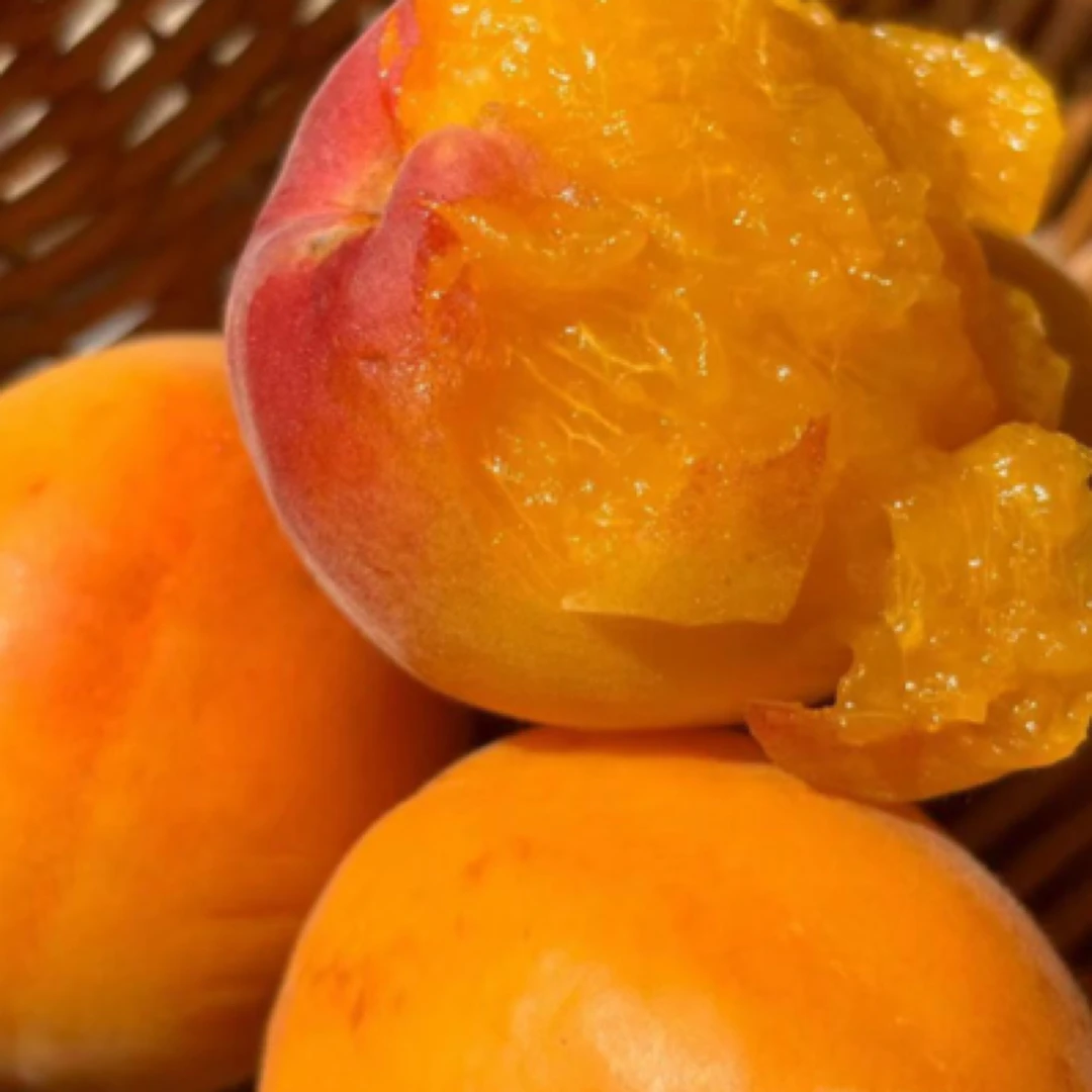 北寨红杏二级果花皮介意勿拍五斤装