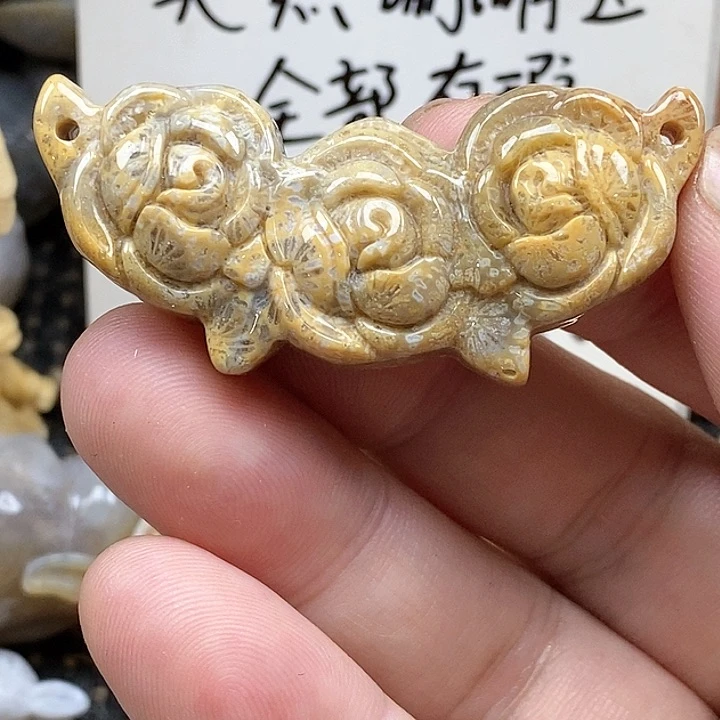 颈饰未镶嵌硅化珊瑚（珊瑚玉）