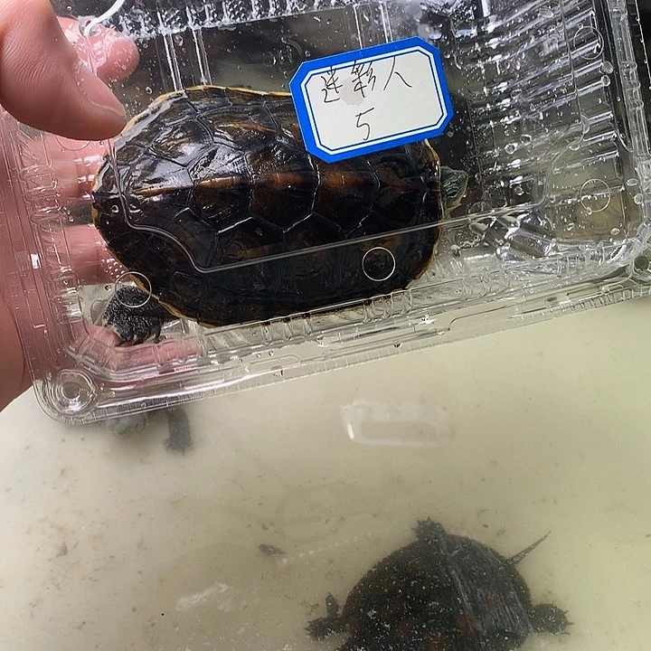哈哈哈哈哈哈哈哈哈哈哈哈哈