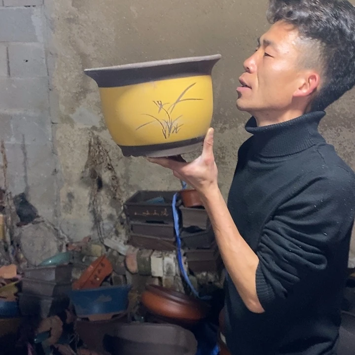红陶紫砂紫砂紫砂