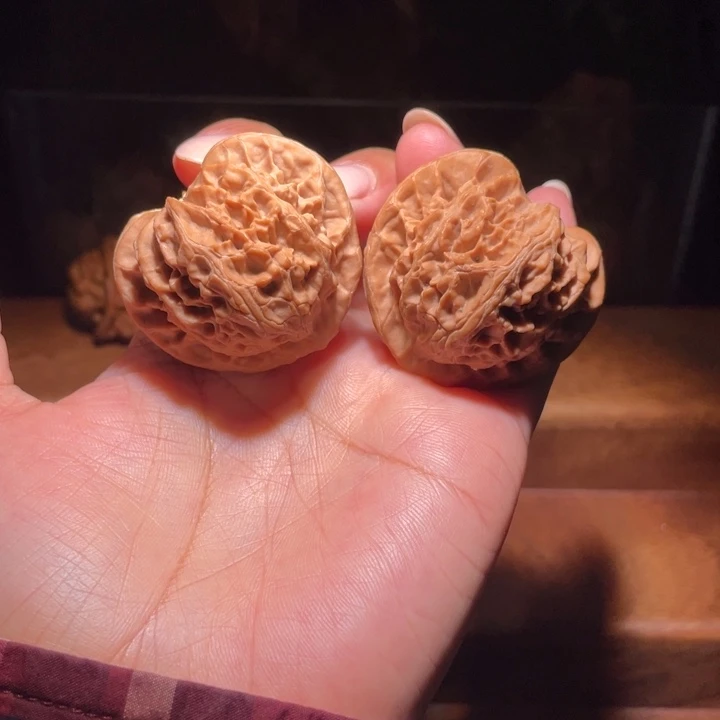 宫灯邢台小帽   43全品