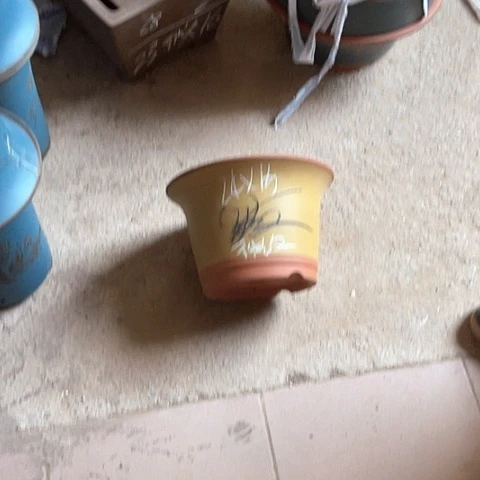 紫砂花盆斗盆一个微