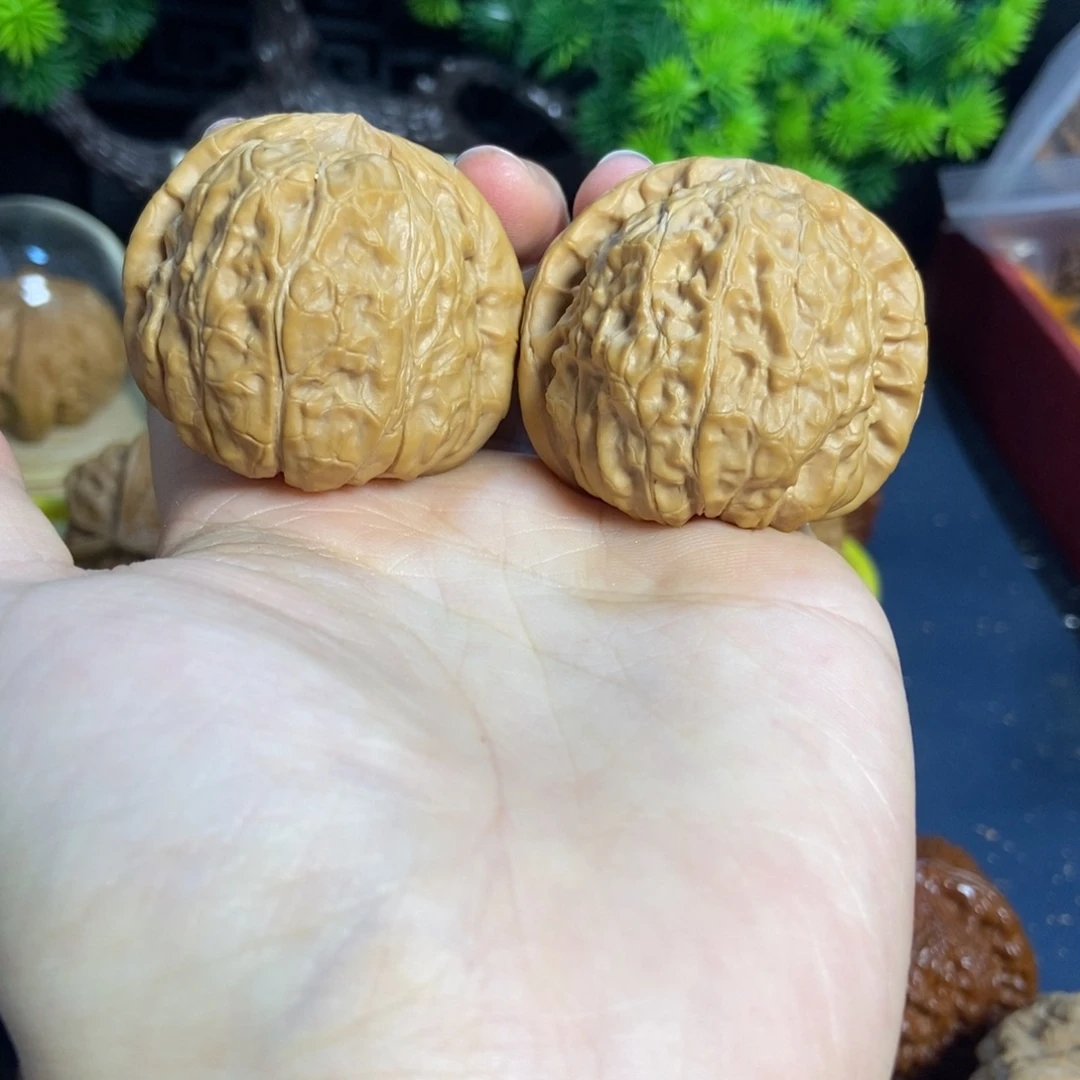 核桃南瓜全品41尺寸3