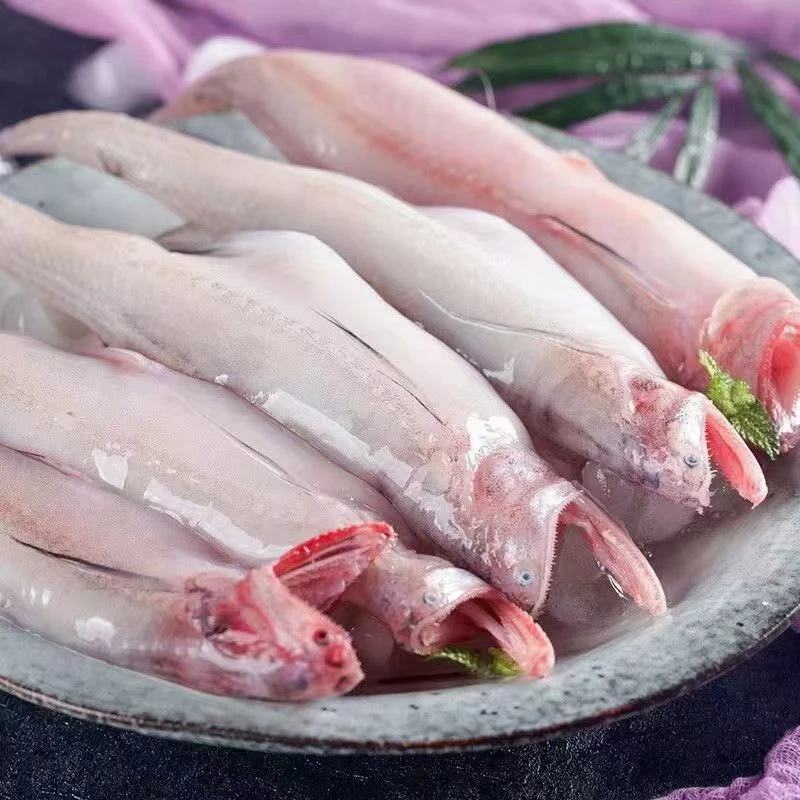 豆腐鱼 丝丁鱼顺丰冷链厦门发货