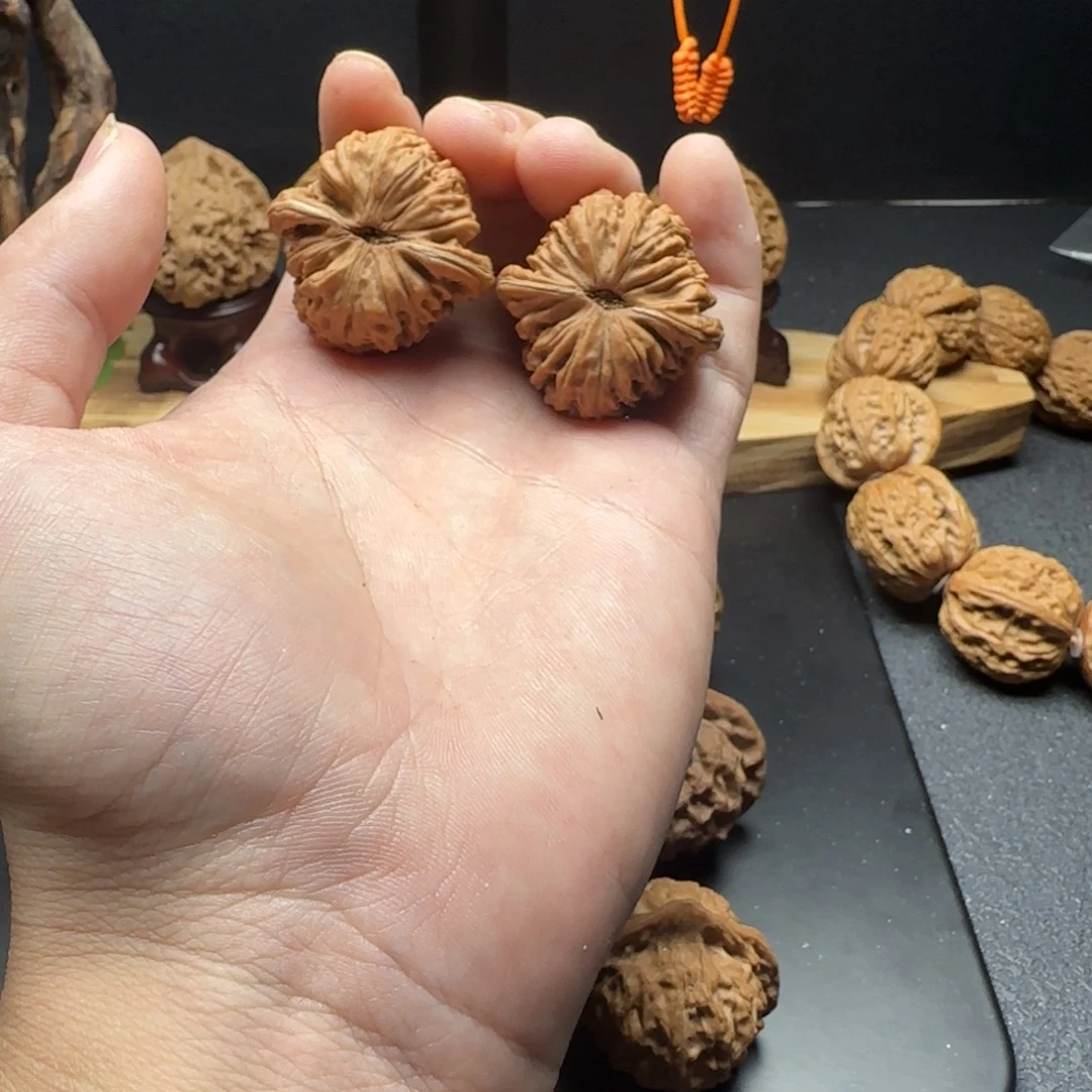 核桃四座楼三品无修