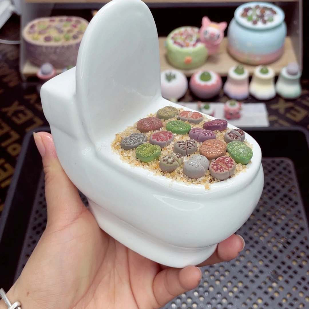 w5385 带盆土发货一物一拍