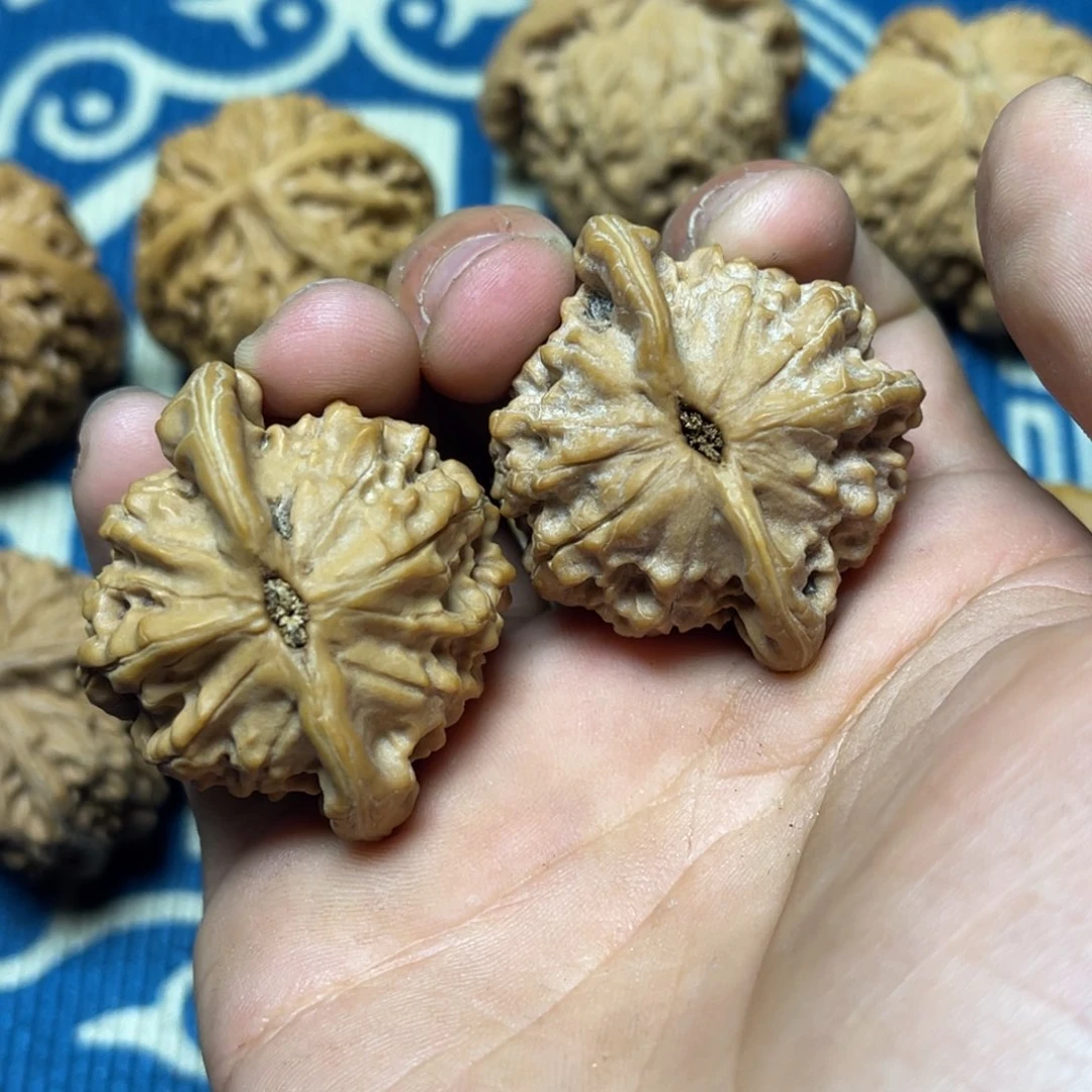文玩核桃把件马*幺核桃