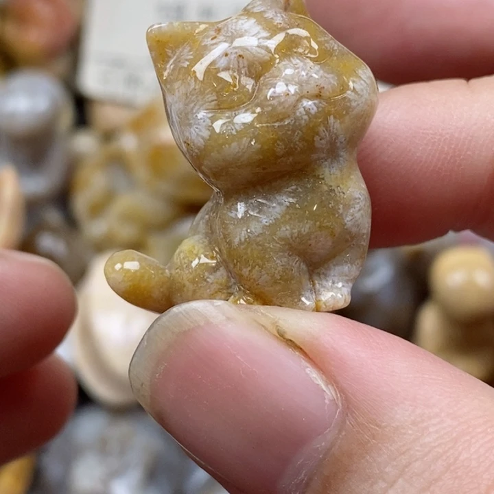 颈饰未镶嵌硅化珊瑚（珊瑚玉）