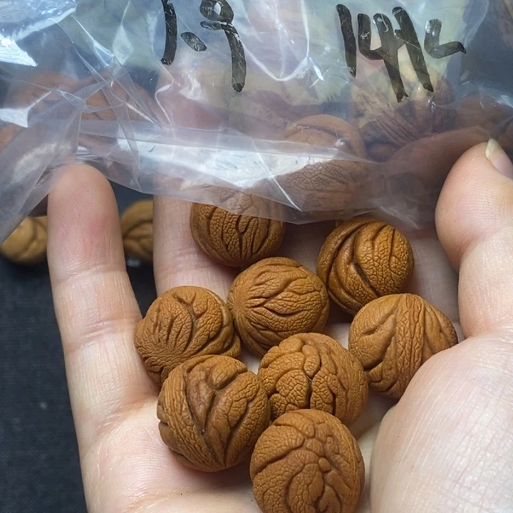 木质类秦岭山野生桃核