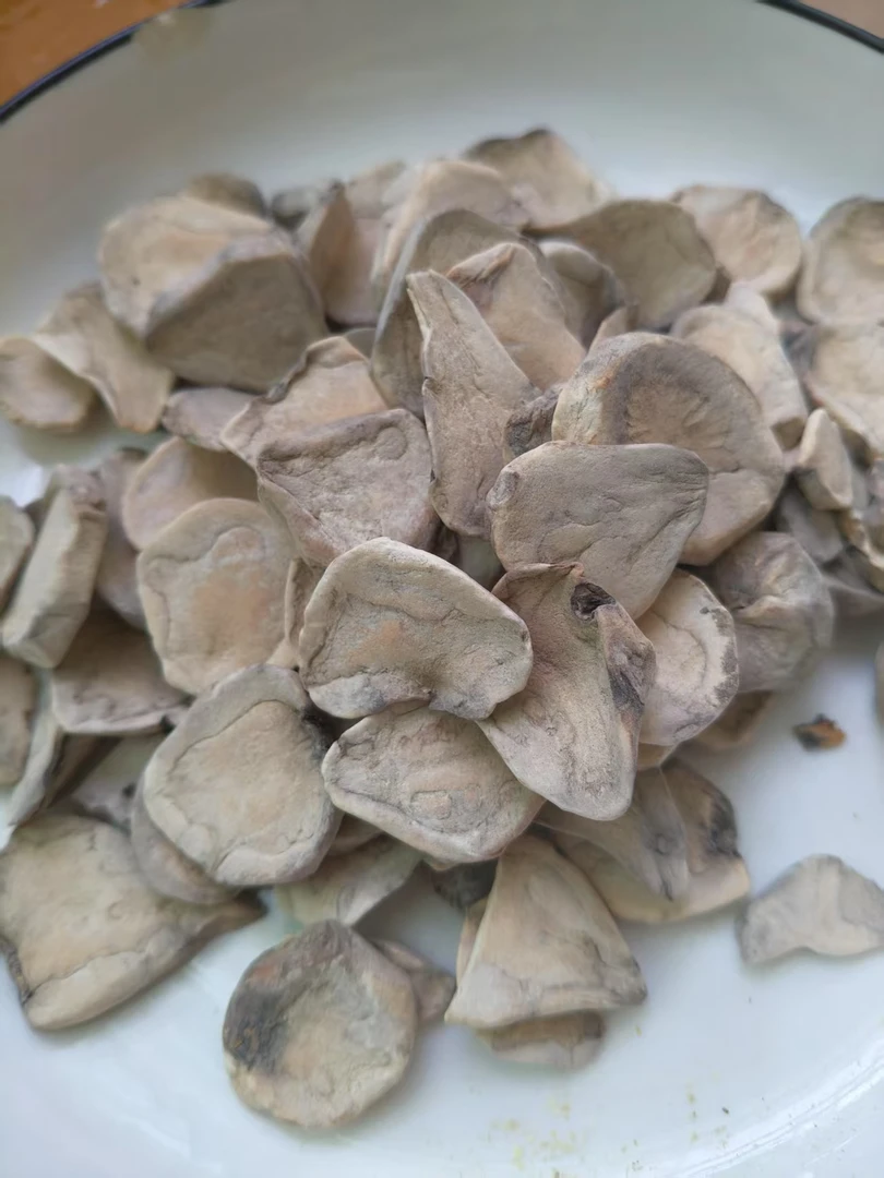 江油道地去皮沙炒干片