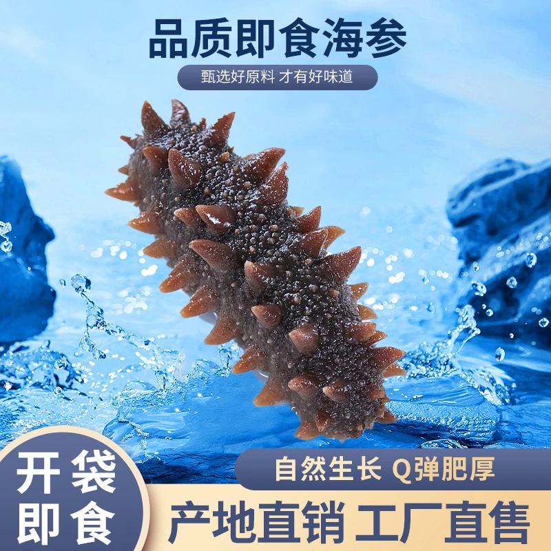 【渔三宝家】烟台直发 3斤装即食/鲜食海参 速冻发货 顺丰到家
