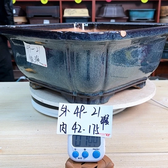 红陶半**生紫砂花盆里放的