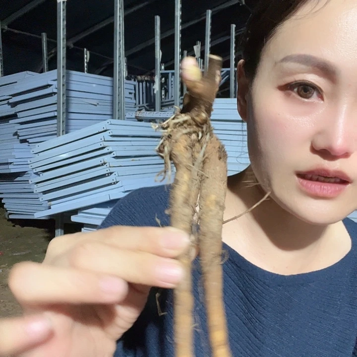 完全开放陛下权杖3-5芽