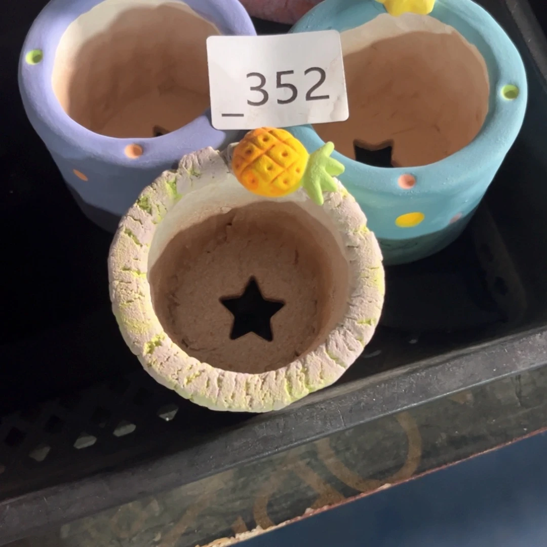 仅**已352多肉花盆3个