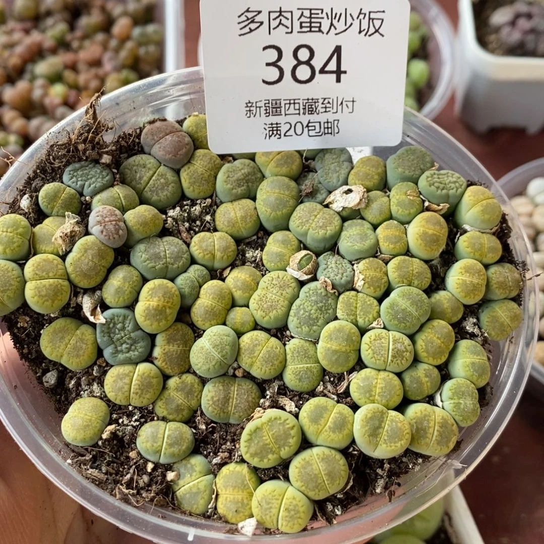 感谢您的支持，000384