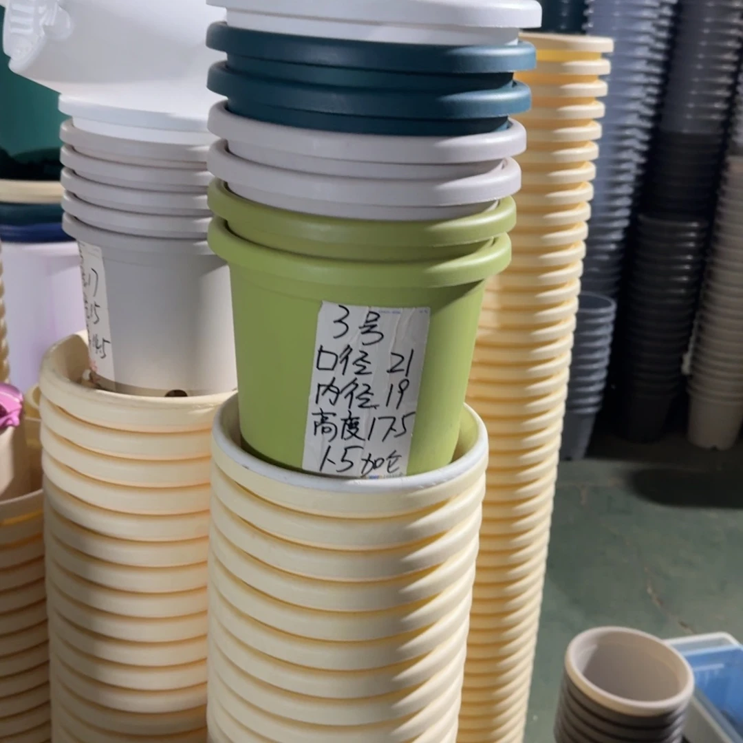 四季3#口径21无拖果绿10个