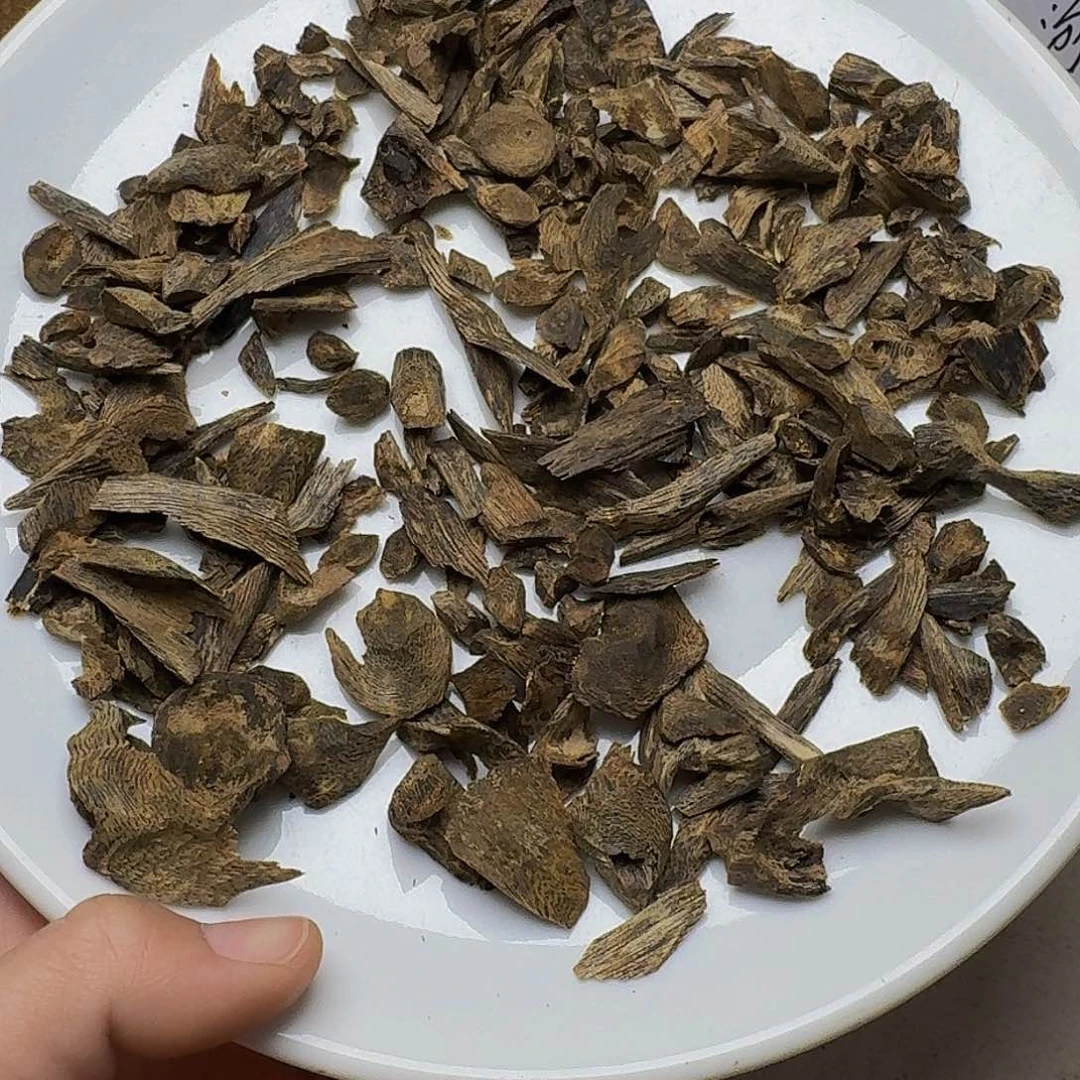 沉香沉香碎屑用**洁绿棋沉水树丁48克